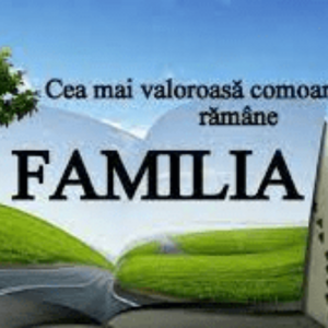 În fiecare an, pe 15 mai, este marcată Ziua Internațională a Familiei. Obiectivul principal al acestei sărbători este acela de a sublinia importanţa familiilor, fără discriminare, în societate
