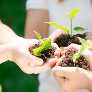 Desfășurarea activităților ecologice