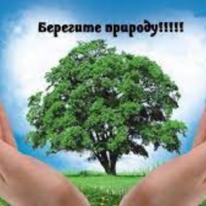 Îmbunătățirea teritoriului școlar