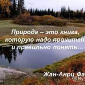 Мыслим глобально, действуем локально