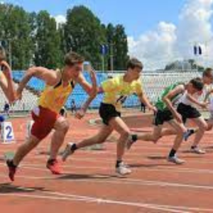 Сompetiții sportive (cross),nivel raional
