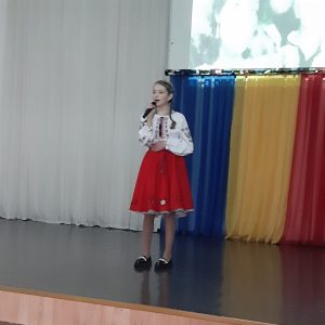 „Două inimi gemene”, etapa raională