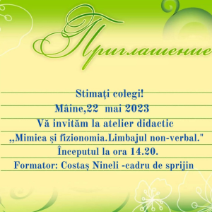Atelierul didactic „Mimica și fizionomia. Limbajul non-verbal”. Formator – cadrul didactic de sprijin Costaș Nineli