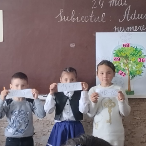 TRANSDISCIPLINARITATEA – O NOUĂ ABORDARE A INVĂȚĂRII