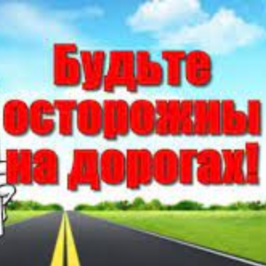 Activitatea: ” Atenţie la trafic”